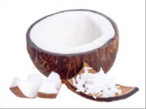 Kokosový olej, AWA shop