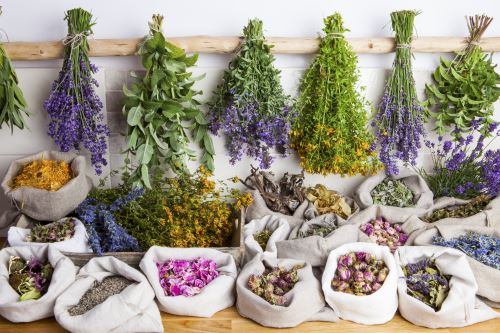 5 základných liečivých byliniek pre jar